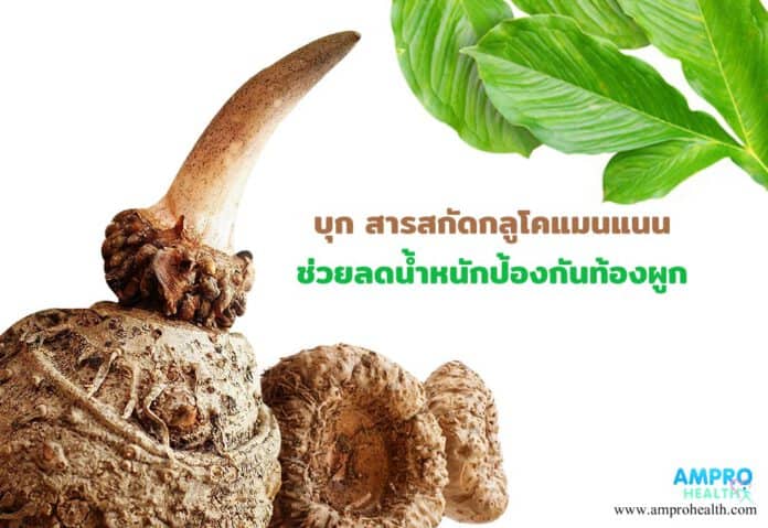 บุก สารสกัดกลูโคแมนแนนช่วยลดน้ำหนักป้องกันท้องผูก