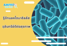 รู้จักแลคโตบาซิลลัส จุลินทรีย์ดีต่อสุขภาพ