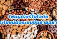 ไฟเบอร์พรีไบโอติกมีประโยชน์ต่อระบบขับถ่ายอย่างไร พรีไบโอติก