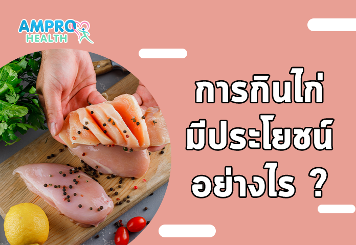 การกินไก่มีประโยชน์อย่างไร - ไก่ โปรตีนที่สำคัญต่อการเสริมสร้างกล้ามเนื้อ