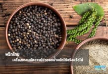 พริกไทย เครื่องเทศมหัศจรรย์ช่วยลดน้ำหนักได้จริงหรือไม่