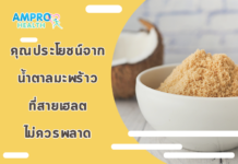 คุณประโยชน์จากน้ำตาลมะพร้าวที่สายเฮลตี้ไม่ควรพลาด คุณประโยชน์จากน้ำตาลมะพร้าวที่สายเฮลตี้ไม่ควรพลาด