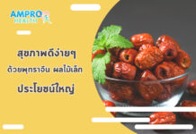 สุขภาพดีง่ายๆ ด้วยพุทราจีน ผลไม้เล็ก ประโยชน์ใหญ่