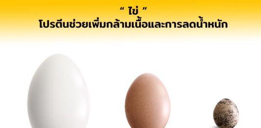 ไข่ โปรตีนช่วยเพิ่มกล้ามเนื้อและการลดน้ำหนัก