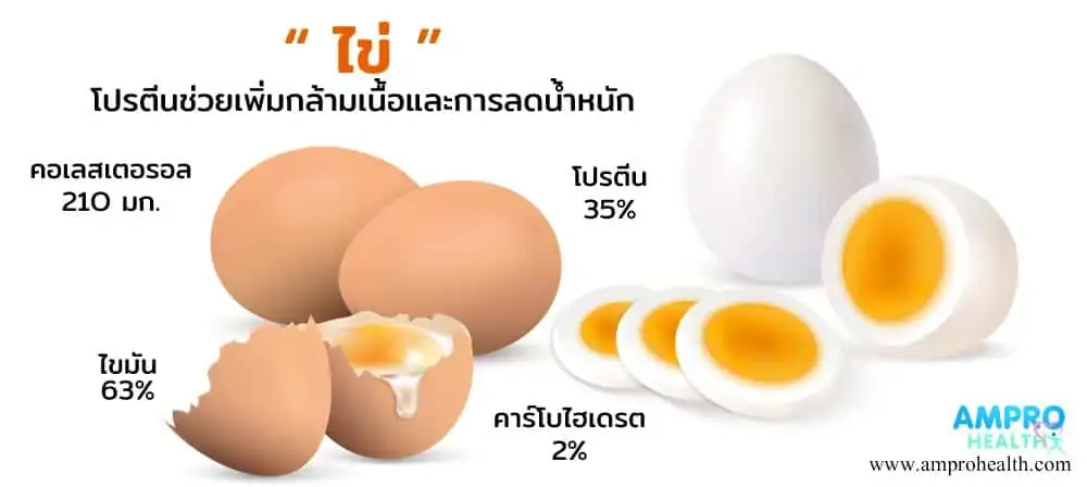 ไข่ โปรตีนช่วยเพิ่มกล้ามเนื้อและการลดน้ำหนัก