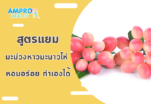 สูตรแยมมะม่วงหาวมะนาวโห่ หอมอร่อย ทำเองได้ สูตรแยมมะม่วงหาวมะนาวโห่ หอมอร่อย ทำเองได้