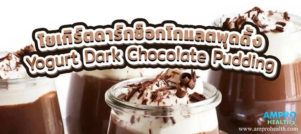 โยเกิร์ตดาร์กช็อกโกแลตพุดดิ้ง ( Yogurt Dark Chocolate Pudding )