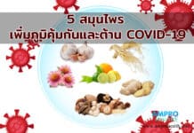 5 สมุนไพร เพิ่มภูมิคุ้มกันและต้าน COVID-19