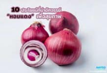 ทำความรู้จักกับหอมแดง สมุนไพรที่คนไทยต้องเคยกิน! 10 ประโยชน์ที่น่าอัศจรรย์ของหอมแดงเพื่อสุขภาพ