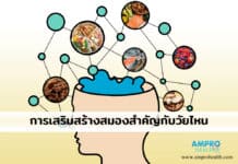 การเสริมสร้างสมองสำคัญกับวัยไหน การเสริมสร้างสมองสำคัญกับวัยไหน