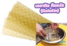 เจลาติน คืออะไร เจลาติน คืออะไร