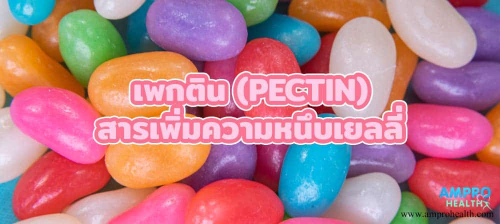 เพกติน (PECTIN) สารเพิ่มความหนึบเยลลี่ เพกติน (PECTIN) สารเพิ่มความหนึบเยลลี่