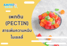 เพกติน (Pectin) ทำความรู้จักสารเพิ่มความหนึบในเยลลี่