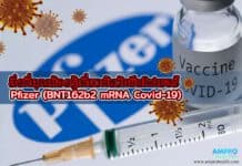 สิ่งที่คุณต้องรู้เกี่ยวกับวัคซีน Pfizer (BNT162b2 mRNA Covid-19) สิ่งที่คุณต้องรู้เกี่ยวกับวัคซีน Pfizer (BNT162b2 mRNA Covid-19)