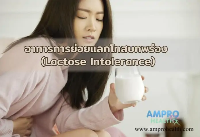 อาการการย่อยแลกโทสบกพร่อง (Lactose Intolerance)