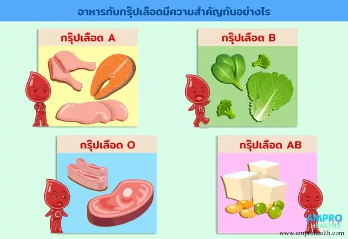 อาหารกับกรุ๊ปเลือดมีความสำคัญกันอย่างไร