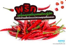 พริก เครื่องเทศที่ทุกคนต้องรู้จัก รสจัดจ้านเผ็ดร้อนแต่สรรพคุณเยี่ยมยอด พริก เครื่องเทศที่ทุกคนต้องรู้จัก รสจัดจ้านเผ็ดร้อนแต่สรรพคุณเยี่ยมยอด