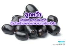 ลูกหว้า ผลไม้สรรพคุณเกินคาด ต้านโรคร้ายอย่างเบาหวาน มะเร็ง หัวใจ ลูกหว้า-ผลไม้สรรพคุณเกินคาด-ต้านโรคร้ายอย่างเบาหวาน-มะเร็ง-หัวใจ