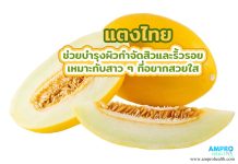 แตงไทย ช่วยบำรุงผิว กำจัดสิวและริ้วรอย เหมาะกับสาว ๆ ที่อยากสวยใส แตงไทย ช่วยบำรุงผิว กำจัดสิวและริ้วรอย เหมาะกับสาว ๆ ที่อยากสวยใส