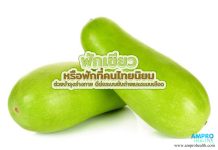 ฟักเขียว หรือฟักที่คนไทยนิยม ช่วยบำรุงร่างกาย ดีต่อระบบขับถ่ายและระบบเลือด ฟักเขียว หรือฟักที่คนไทยนิยม ช่วยบำรุงร่างกาย ดีต่อระบบขับถ่ายและระบบเลือด