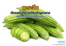 มะระ ผักรสขมที่ช่วยให้เจริญอาหาร เป็นยาระบาย รักษาโรคเบาหวาน มะระ ผักรสขมที่ช่วยให้เจริญอาหาร เป็นยาระบาย รักษาโรคเบาหวาน