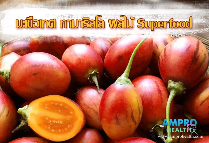 มะเขือเทศต้นทามาริลโล่ ผลไม้Superfood ป้องกันนิ้วในไตและต้านมะเร็ง