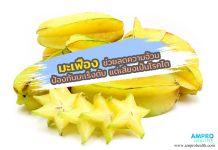 มะเฟือง ช่วยลดความอ้วน ป้องกันมะเร็งตับ แต่เสี่ยงเป็นโรคไต มะเฟือง ช่วยลดความอ้วน ป้องกันมะเร็งตับ แต่เสี่ยงเป็นโรคไต