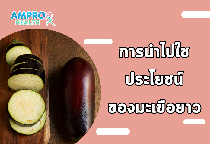 การนำไปใช้ประโยชน์ของมะเขือยาว