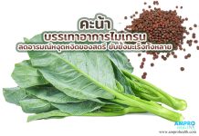 คะน้า บรรเทาอาการไมเกรน ลดอารมณ์หงุดหงิดของสตรี ยับยั้งมะเร็งทั้งหลาย คะน้า บรรเทาอาการไมเกรน ลดอารมณ์หงุดหงิดของสตรี ยับยั้งมะเร็งทั้งหลาย