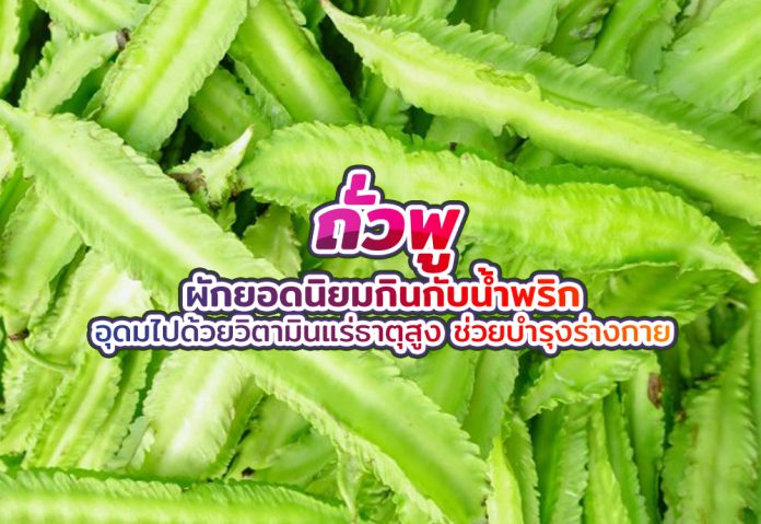 ถั่วพู