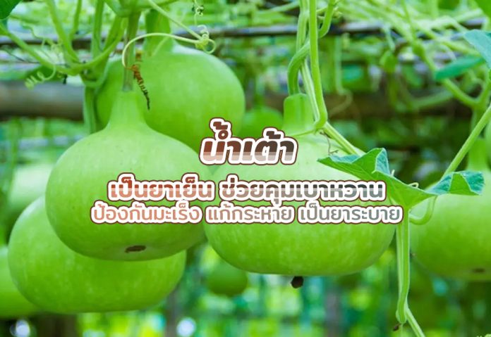 น้ำเต้า