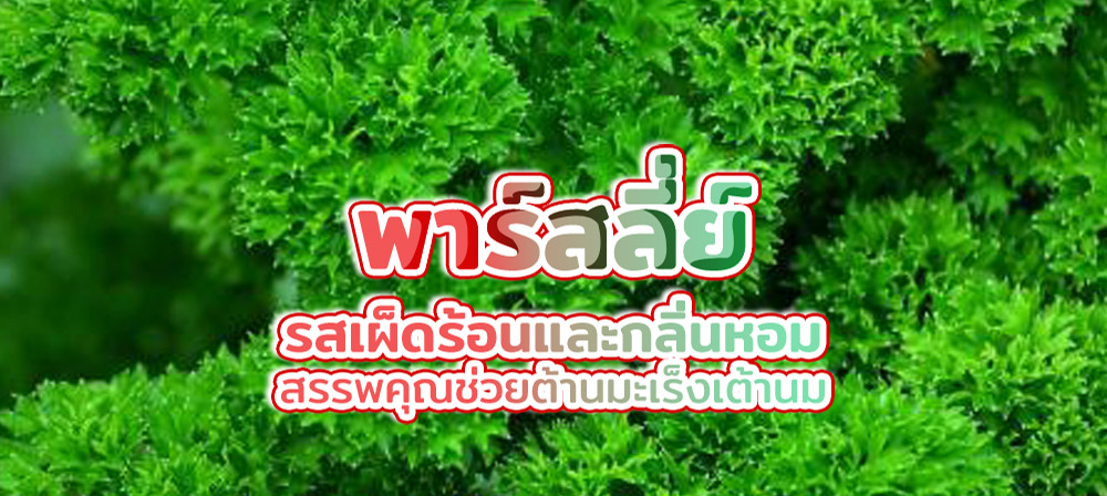 พาร์สลี่ย์