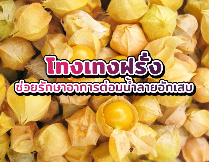 โทงเทงฝรั่ง