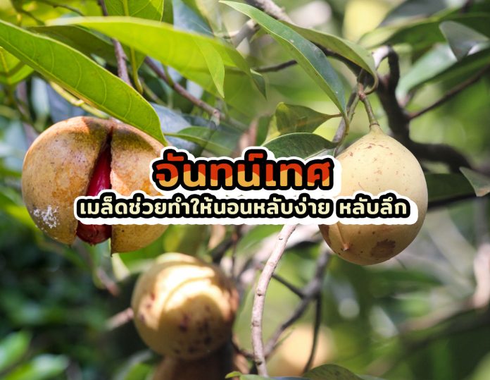 จันทน์เทศ