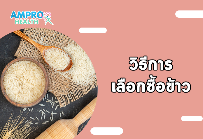 วิธีการเลือกซื้อข้าว - ประโยชน์ และ สรรพคุณ ของ ข้าว ที่เรากินทุกวัน