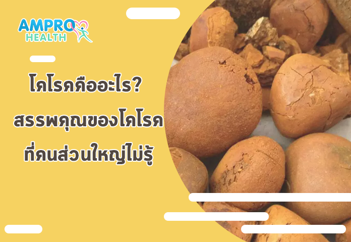 โคโรคคืออะไร? สรรพคุณของโคโรคที่คนส่วนใหญ่ไม่รู้