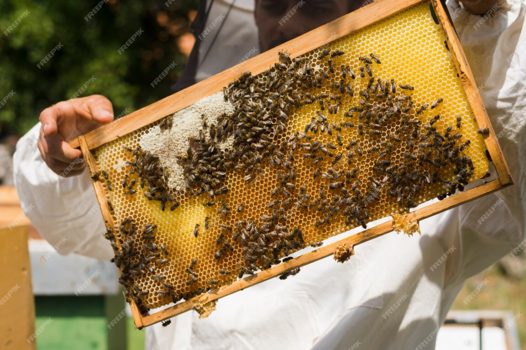 ประโยชน์ของนมผึ้ง